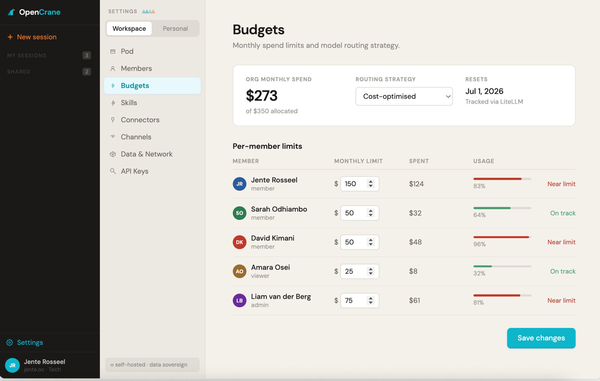 An OpenCrane budget dashboard showing organisation and member usage controls