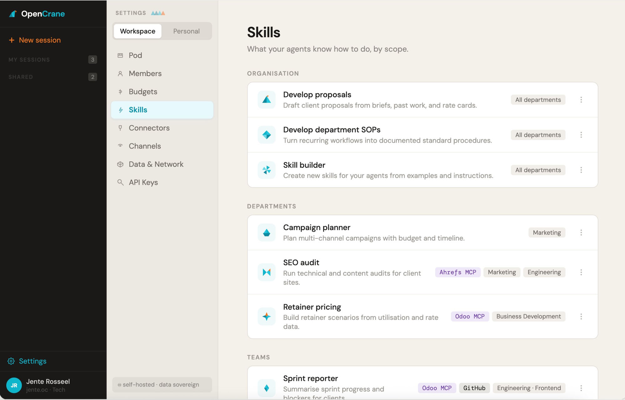 An OpenCrane skills catalogue showing reusable team capabilities